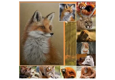 Итальянский рисунок: Дикие животные (Юлия Ромас)