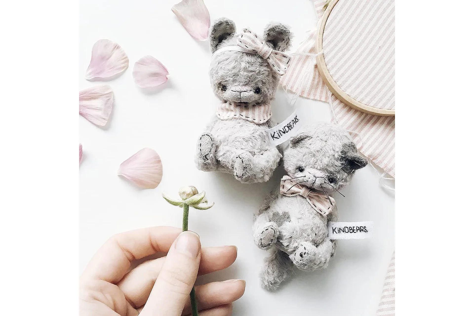 Тедди котенок (Наталья Колесникова), фото 1 из 1.