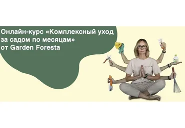 [Garden Foresta] Комплексный уход за садом по месяцам
