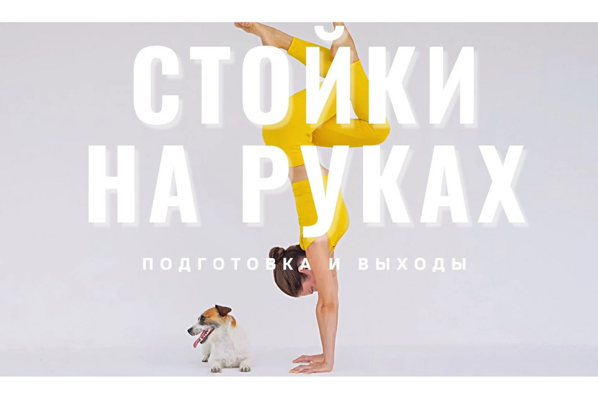 Стойки на руках: от нуля. Подготовка и выходы + Подготовка рук к стойкам (Евгения Токц), фото 1 из 1.