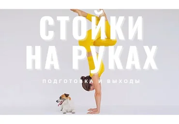 Стойки на руках: от нуля. Подготовка и выходы + Подготовка рук к стойкам (Евгения Токц)