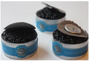 [Студия «Мусс»] Десерт «Черная Икра» (Виктория Углева)