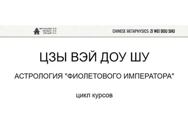 Цзы Вэй Доу Шу. 1 уровень (Юрий Сбитнев)