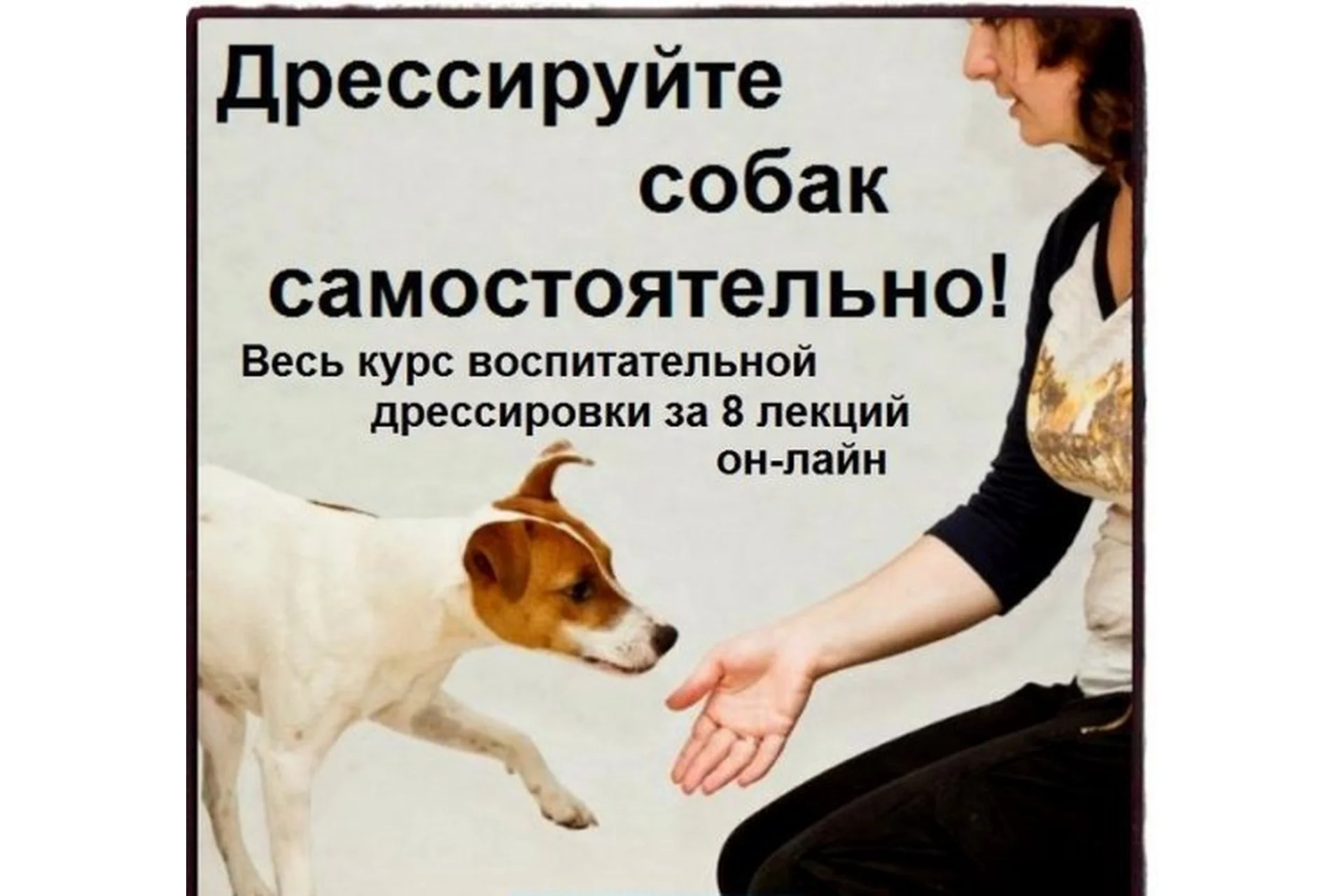 Дрессируйте собак самостоятельно! Полный курс (Софья Баскина), фото 1 из 1.