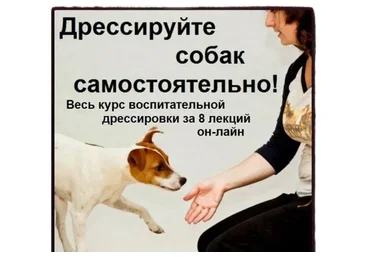 Дрессируйте собак самостоятельно! Полный курс (Софья Баскина)