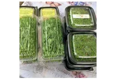 Микрозелень проростки, брокколи, редис (Николай Сабзир)