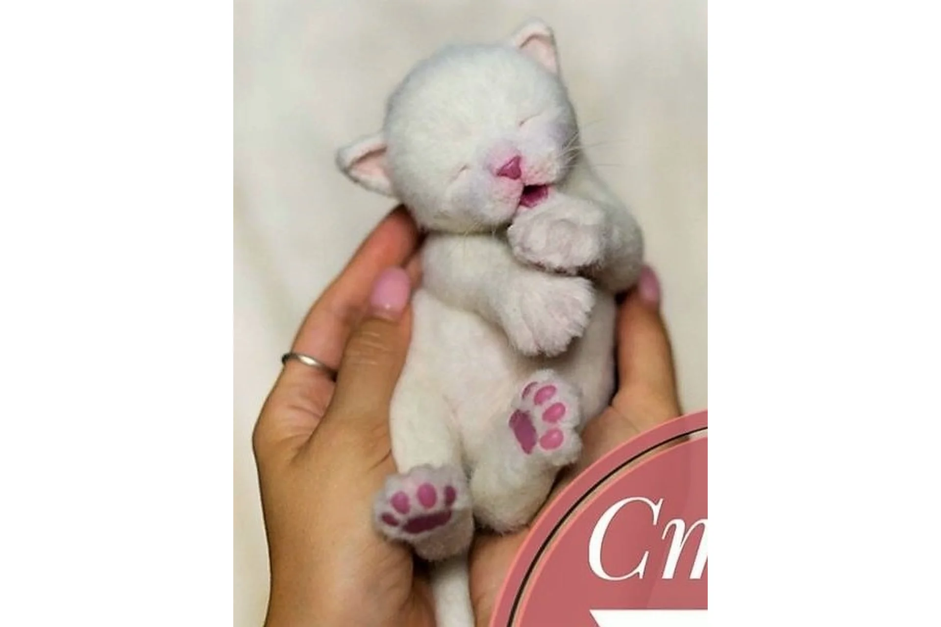 Котята, котики, коты. 1 ступень. Новорожденный белый котенок (Елена Федоряк), фото 1 из 1.