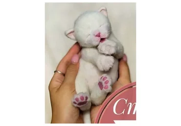 Котята, котики, коты. 1 ступень. Новорожденный белый котенок (Елена Федоряк)