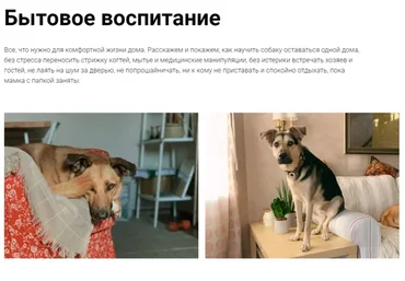 [Pi-Bo] Бытовое воспитание. Тариф Минимальный (Надя Пигарева, Оксана Тюльпинова)