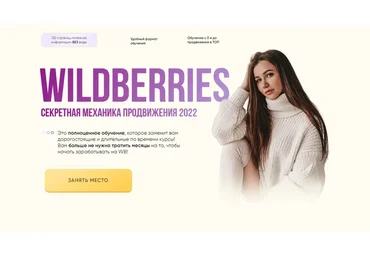 Wildberries. Секретная механика продвижение. Тариф - Стандарт (Кристина Волженская)