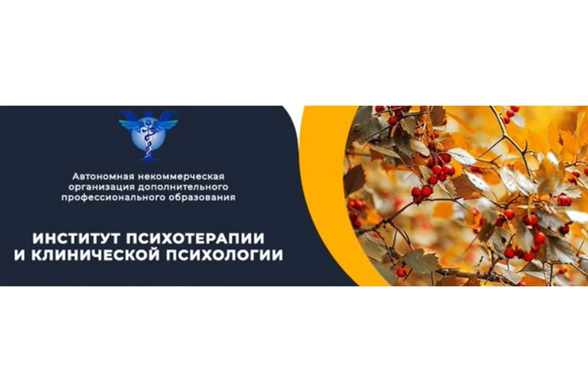 [Институт организационной и клинической психологии] Психиатрия для психологов, фото 1 из 1.