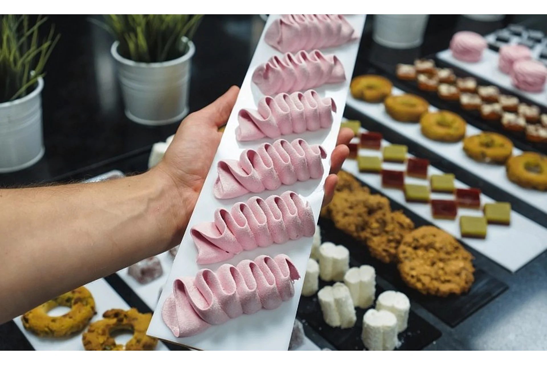 Зефир, мармелад, маршмеллоу, нуга и печенье (Александр Кислицын), фото 1 из 1.