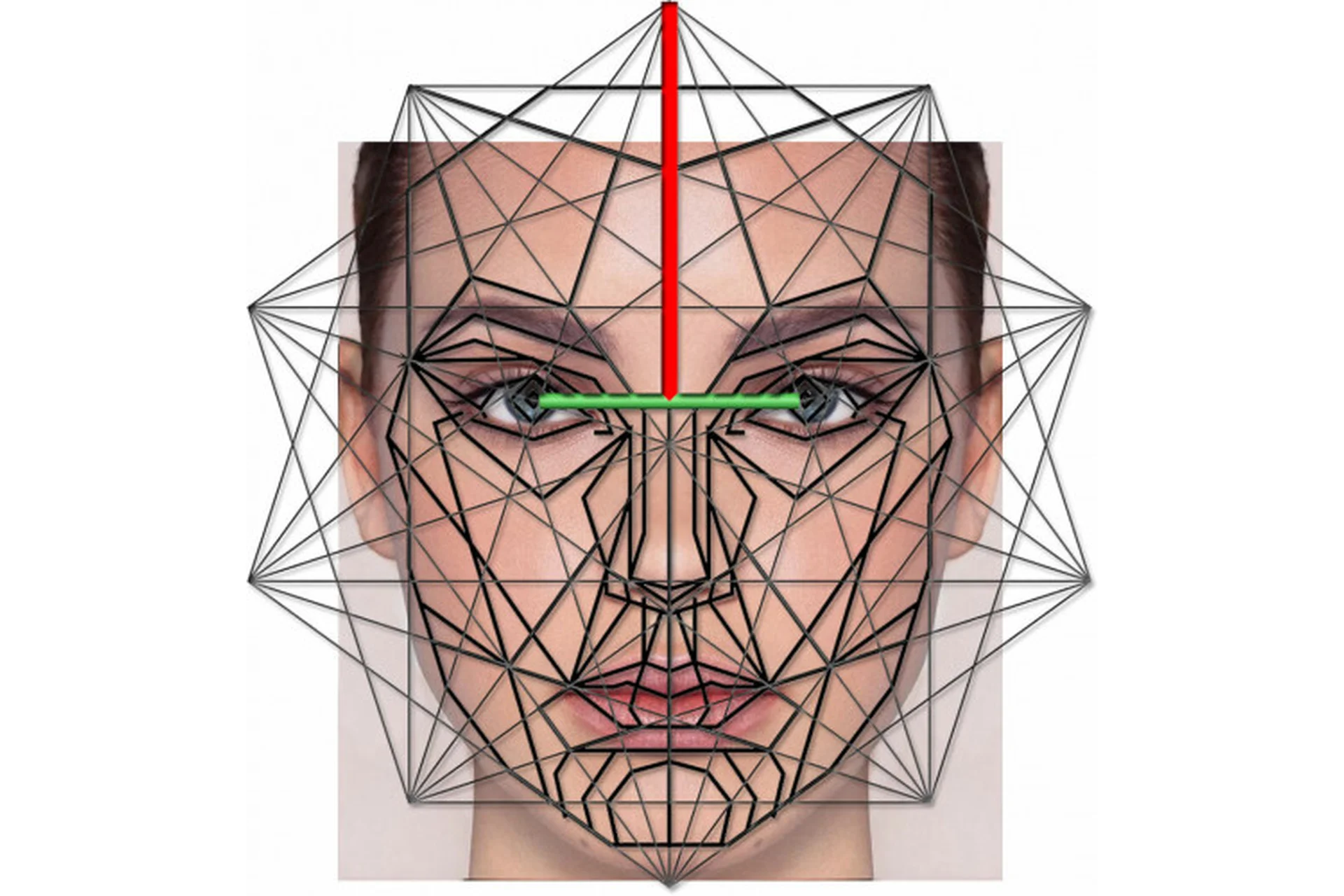 [AST-production] Симметрия лица. Выразительность и привлекательность, фото 1 из 1.