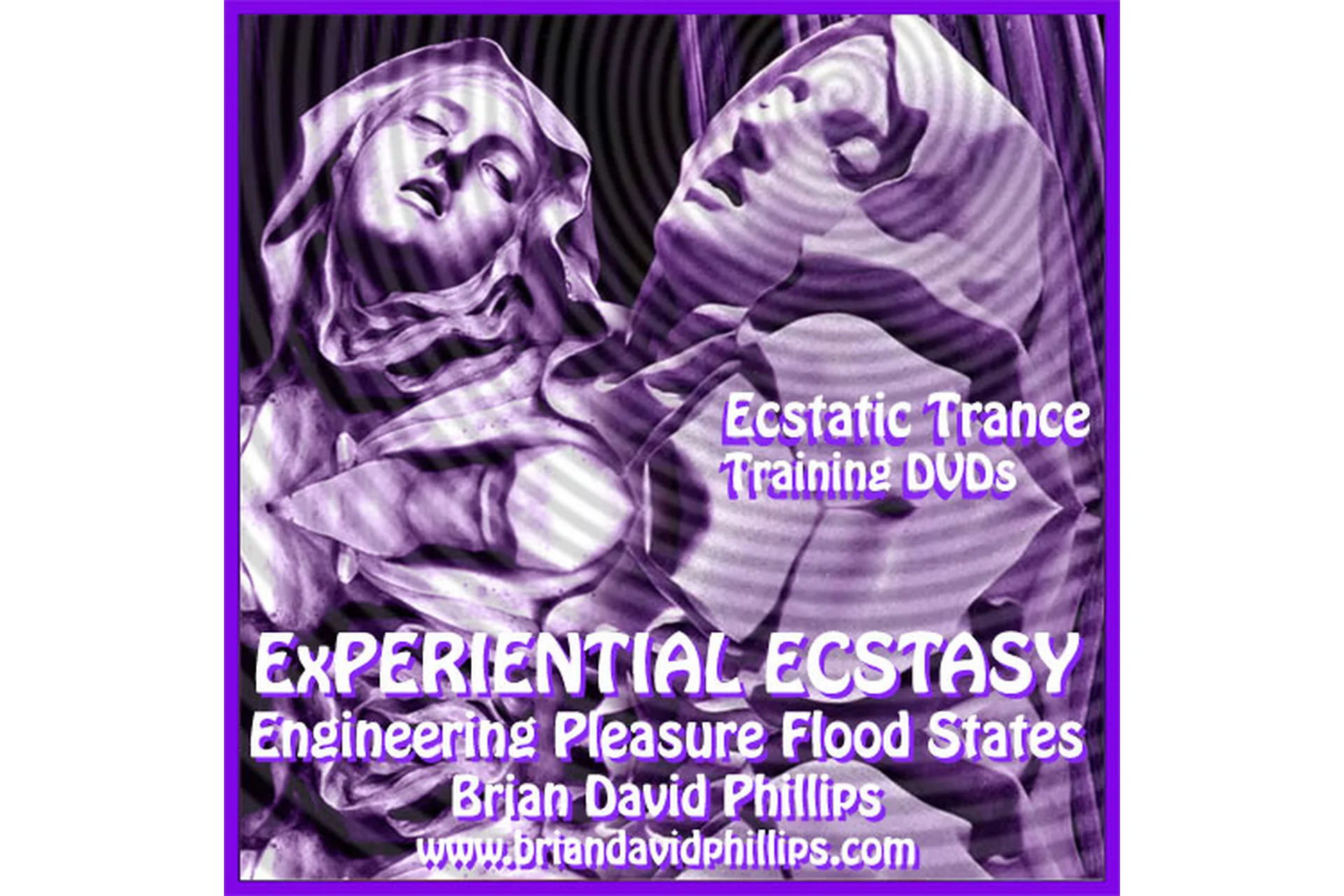 Experiential Ecstasy. Engineering Positive Emotional Flood States - 1 (Brian David Phillips), фото 1 из 1.