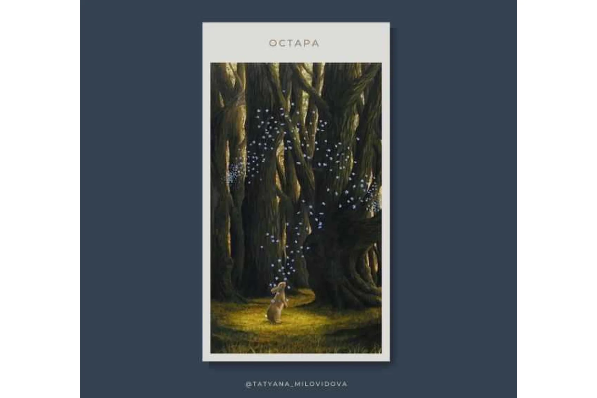 Остара (Татьяна Миловидова), фото 1 из 1.