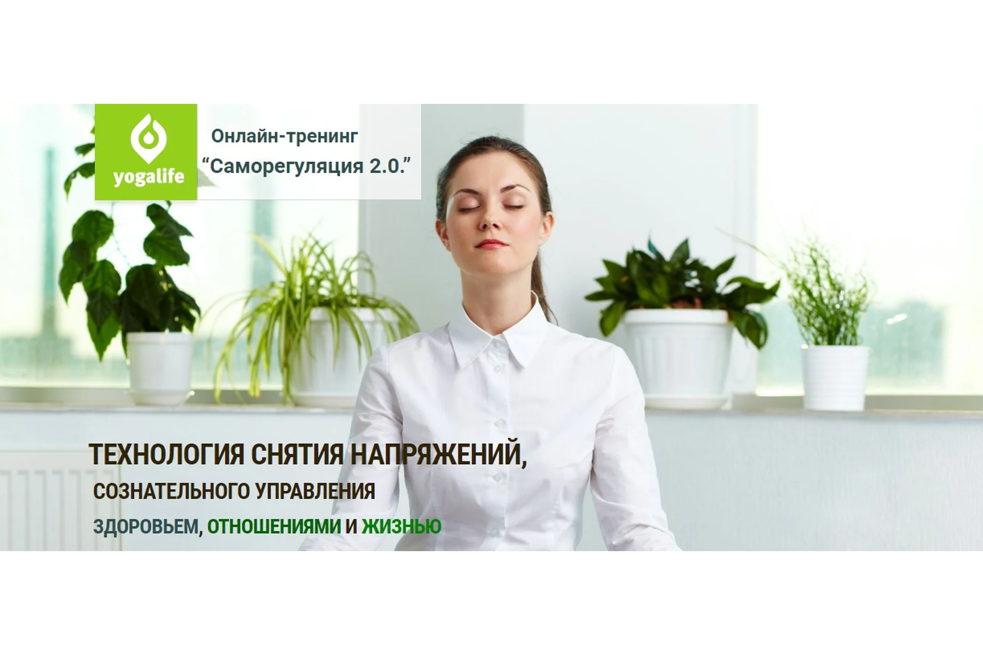 Саморегуляция 2.0. 2016 (Вячеслав Смирнов), фото 1 из 1.