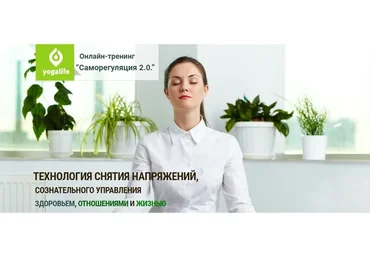 Саморегуляция 2.0. 2016 (Вячеслав Смирнов)