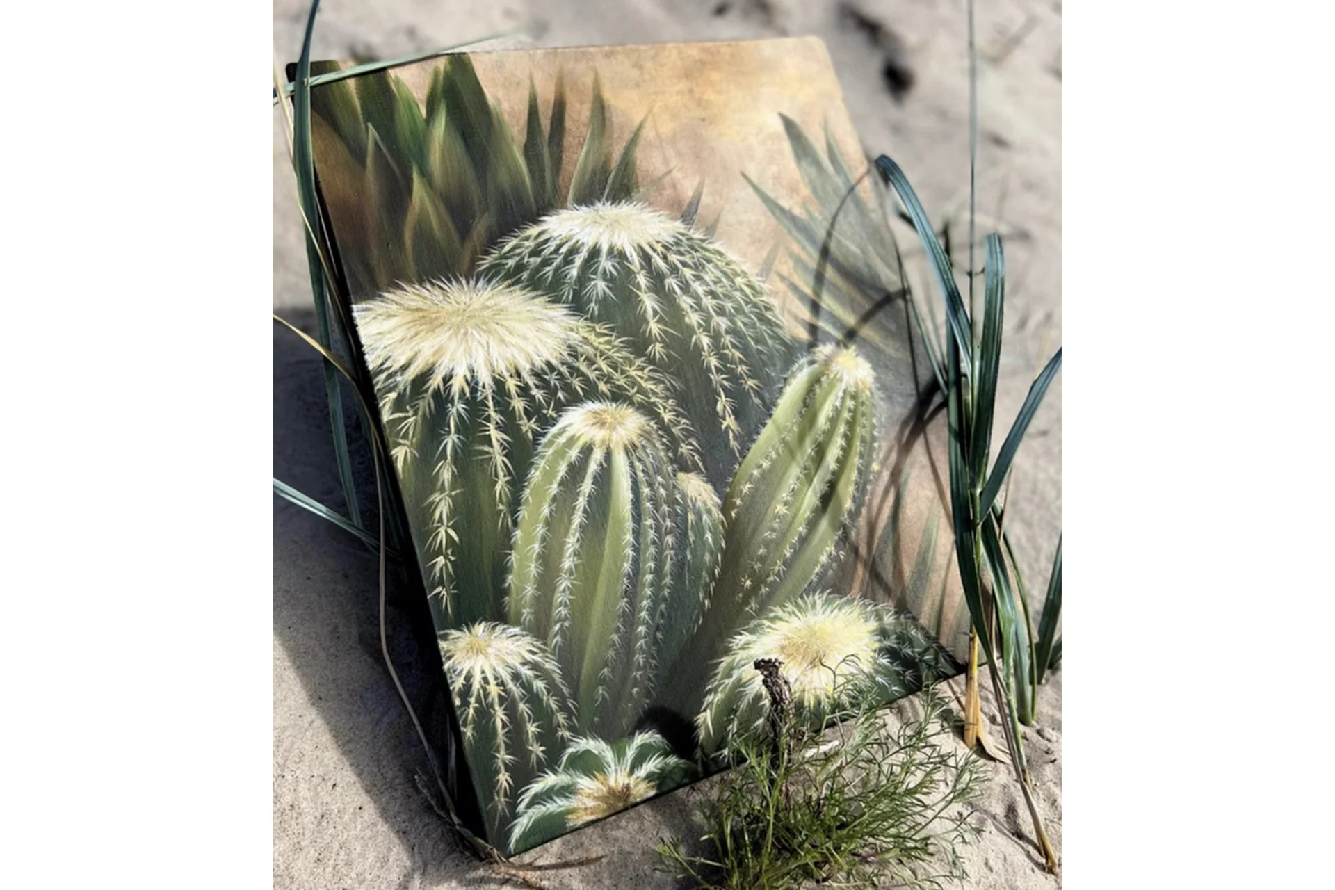 [Antique Effect] Кактусы (Анастасия Михайлова), фото 1 из 1.