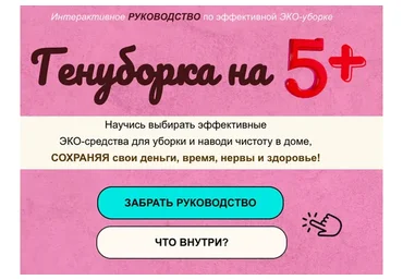 ГенУборка на Пятерку. Интерактивное руководство (Эльмира Исмагилова)