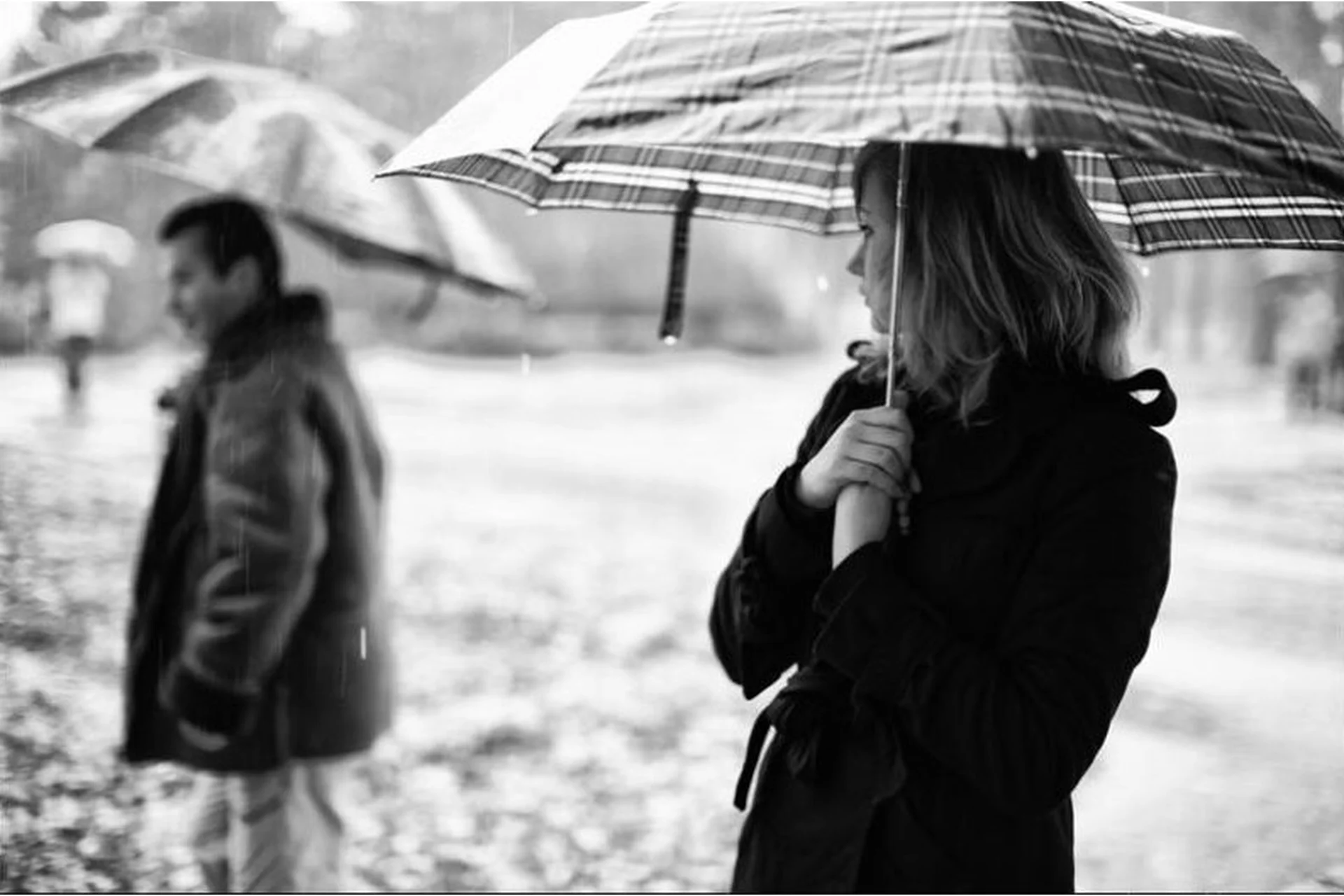 Не сложилось. Вебинар о разводе и расставании (Елена Веселаго), фото 1 из 1.