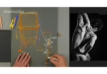 Пластическая анатомия. Верхние конечности (Анна Карпова)
