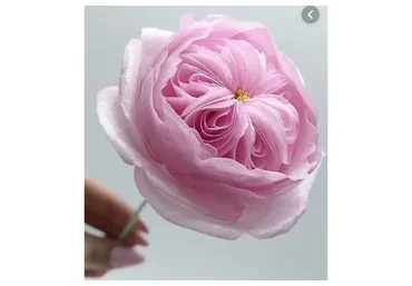 Реалистичные вафельные цветы (Светлана Кузьмина)