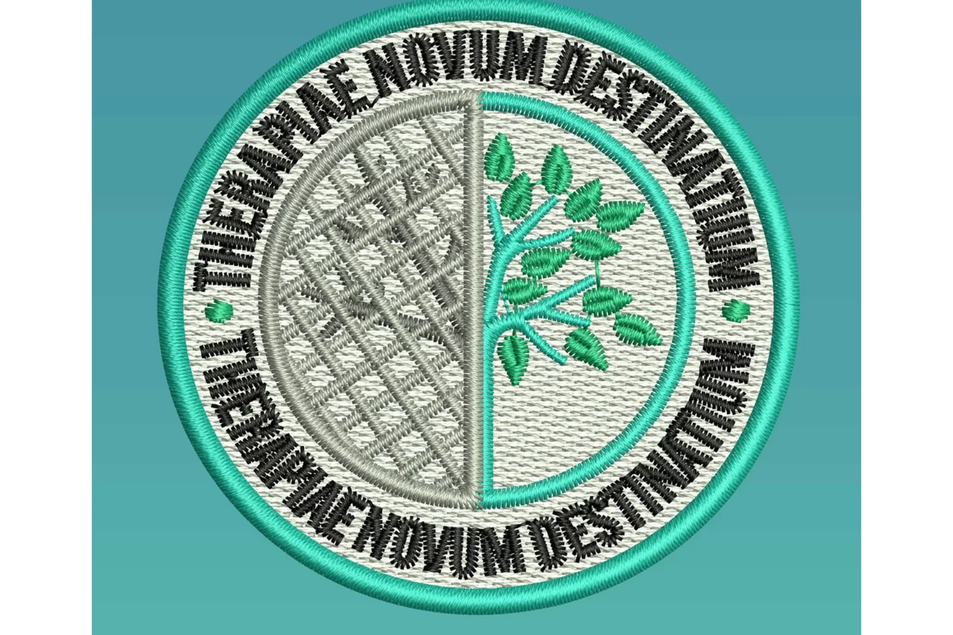 Создание надписей в Wilcom для машинной вышивки (Светлана Красноцветова), фото 1 из 1.