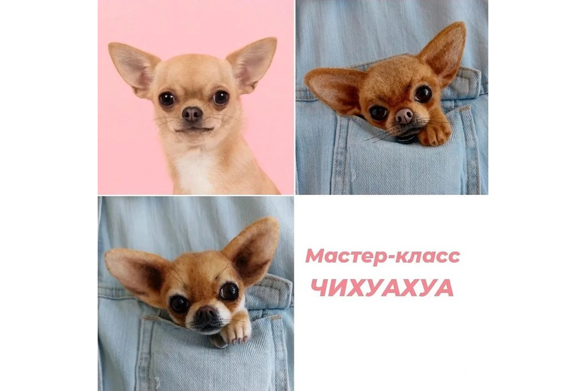 Брошь Чихуахуа (Марина Грубер), фото 1 из 1.