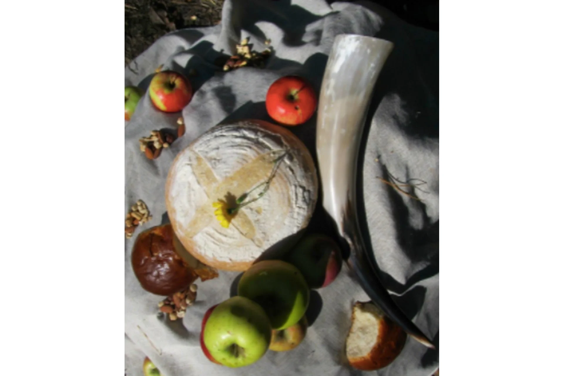 [Магистерий] Курс Северной магии (Алина Летиция, Анна Симбалайн), фото 1 из 1.