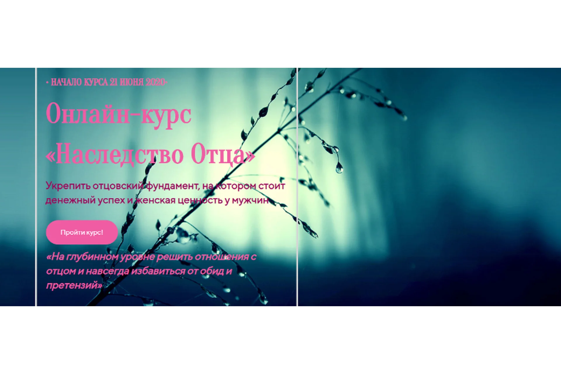 Наследство отца. Июнь 2020 (Лилия Четверикова), фото 1 из 1.