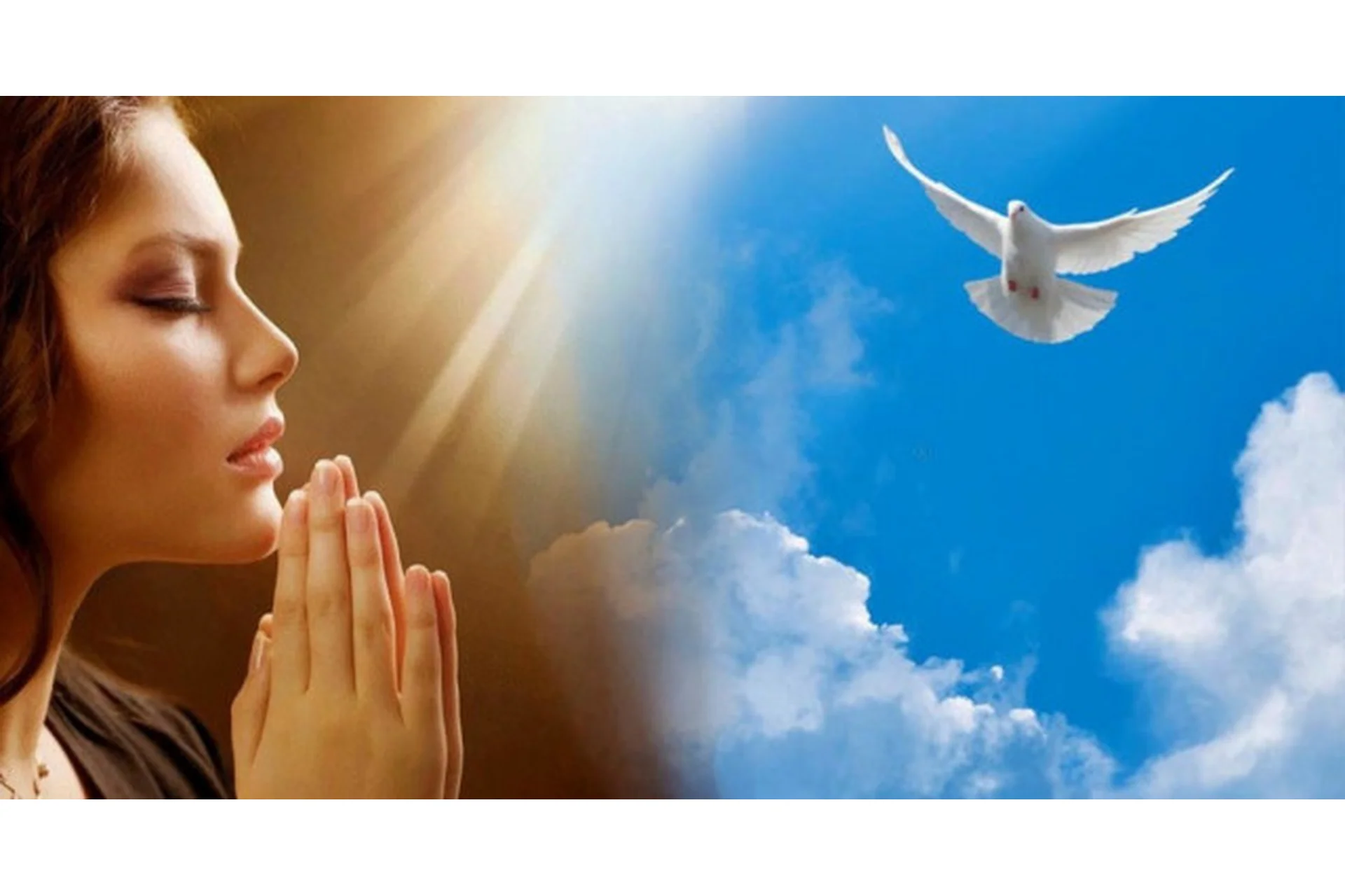 Я женщина. Я мудрость (Елена Реунова, Марина Тушевская), фото 1 из 1.