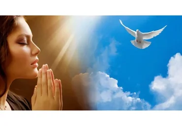 Я женщина. Я мудрость (Елена Реунова, Марина Тушевская)