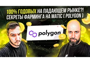 [Polygon] 100% годовых на падающем рынке?! Секреты фарминга на Matic