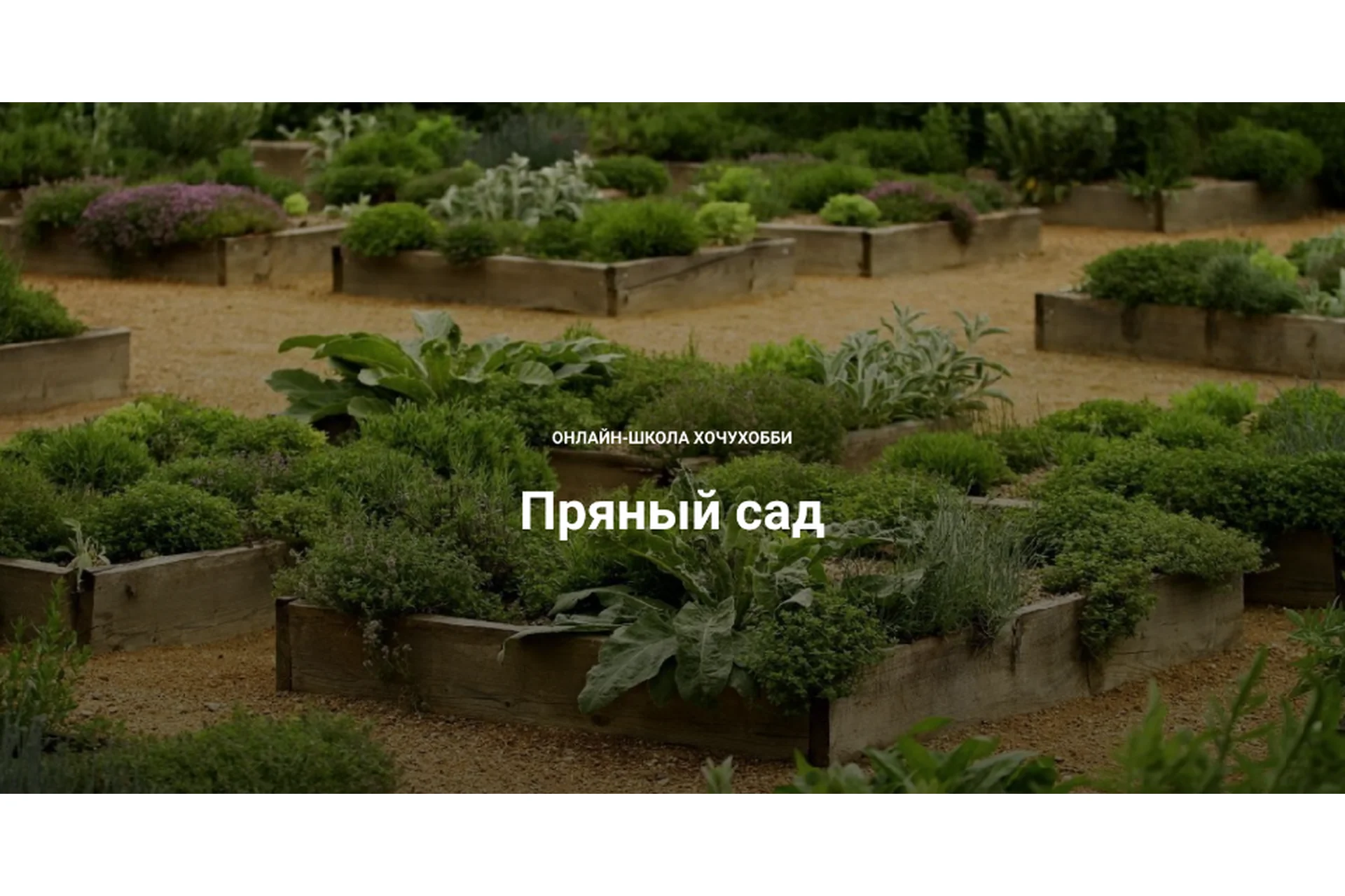 [ХочуХобби] Пряный сад (Татьяна Чернова, Сергей Сергеев), фото 1 из 1.