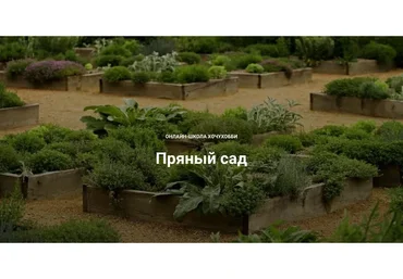 [ХочуХобби] Пряный сад (Татьяна Чернова, Сергей Сергеев)
