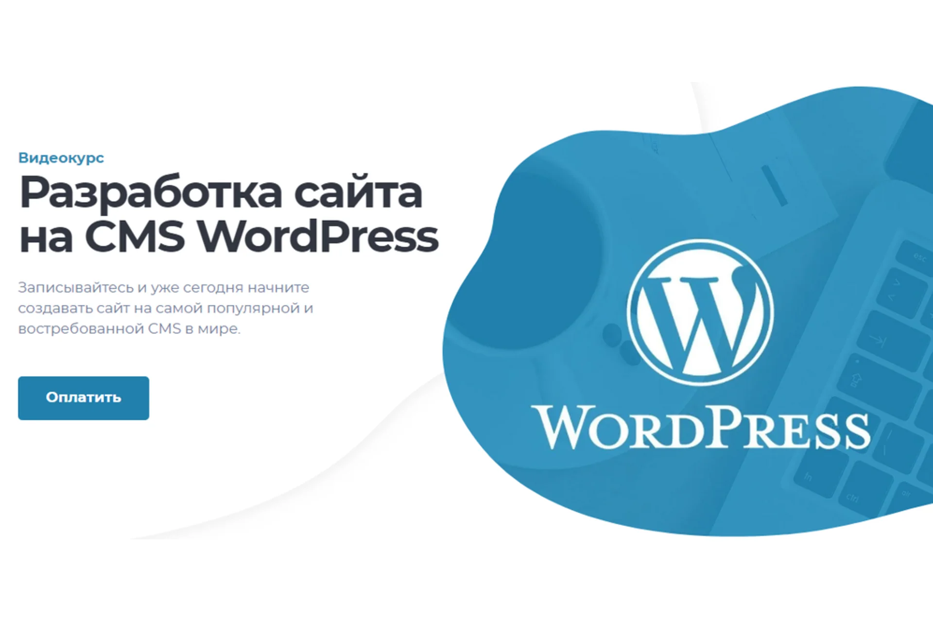 [Loftschool] Разработка сайта на CMS WordPress (Дмитрий Полос), фото 1 из 1.