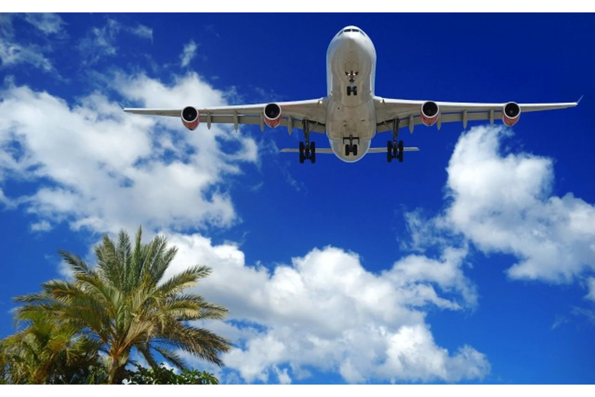 Воплощение PRO. 1-й модуль (Константин Колесниченко), фото 1 из 1.