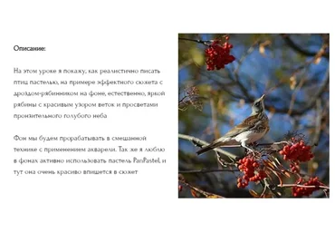 Дрозд-рябинник. Без проверки (Юлия Дубинина)