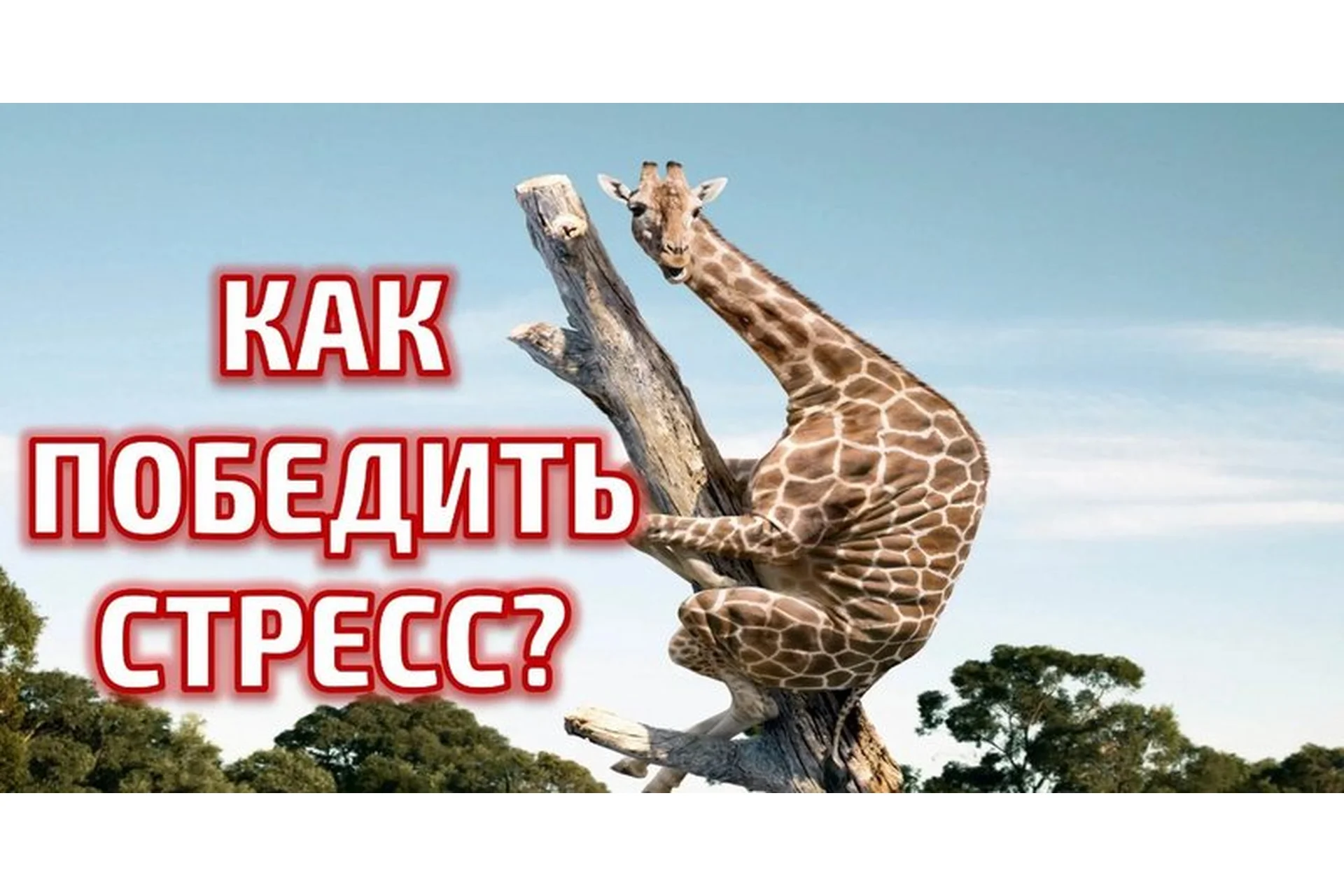 Интенсив «Как победить стресс» пакет ВИП (Вячеслав Юнев), фото 1 из 1.