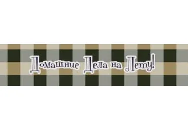 Домашние дела на лету