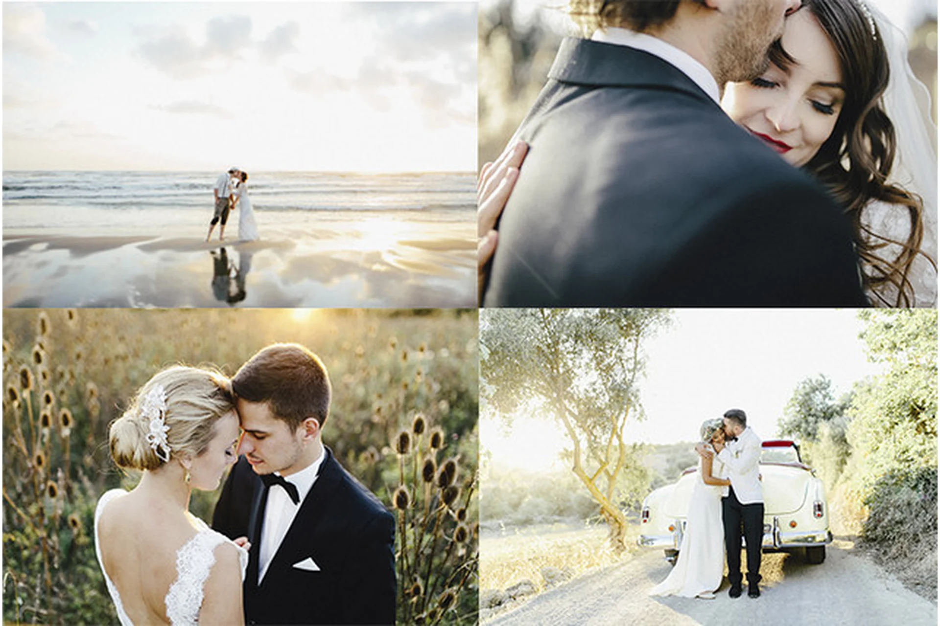 Свадебные пресеты Vol1, Vol2, Toolbox (Carmen & Ingo), фото 1 из 1.