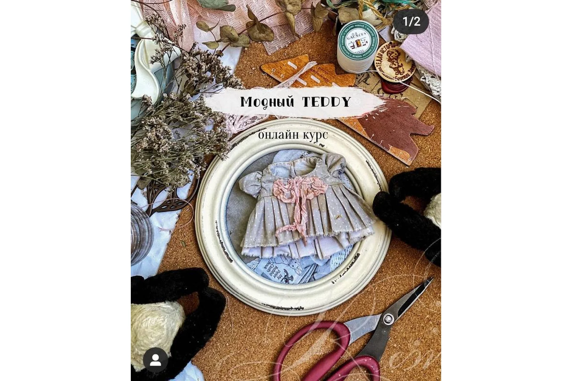 Модный Teddy (Женя Закерьина), фото 1 из 1.