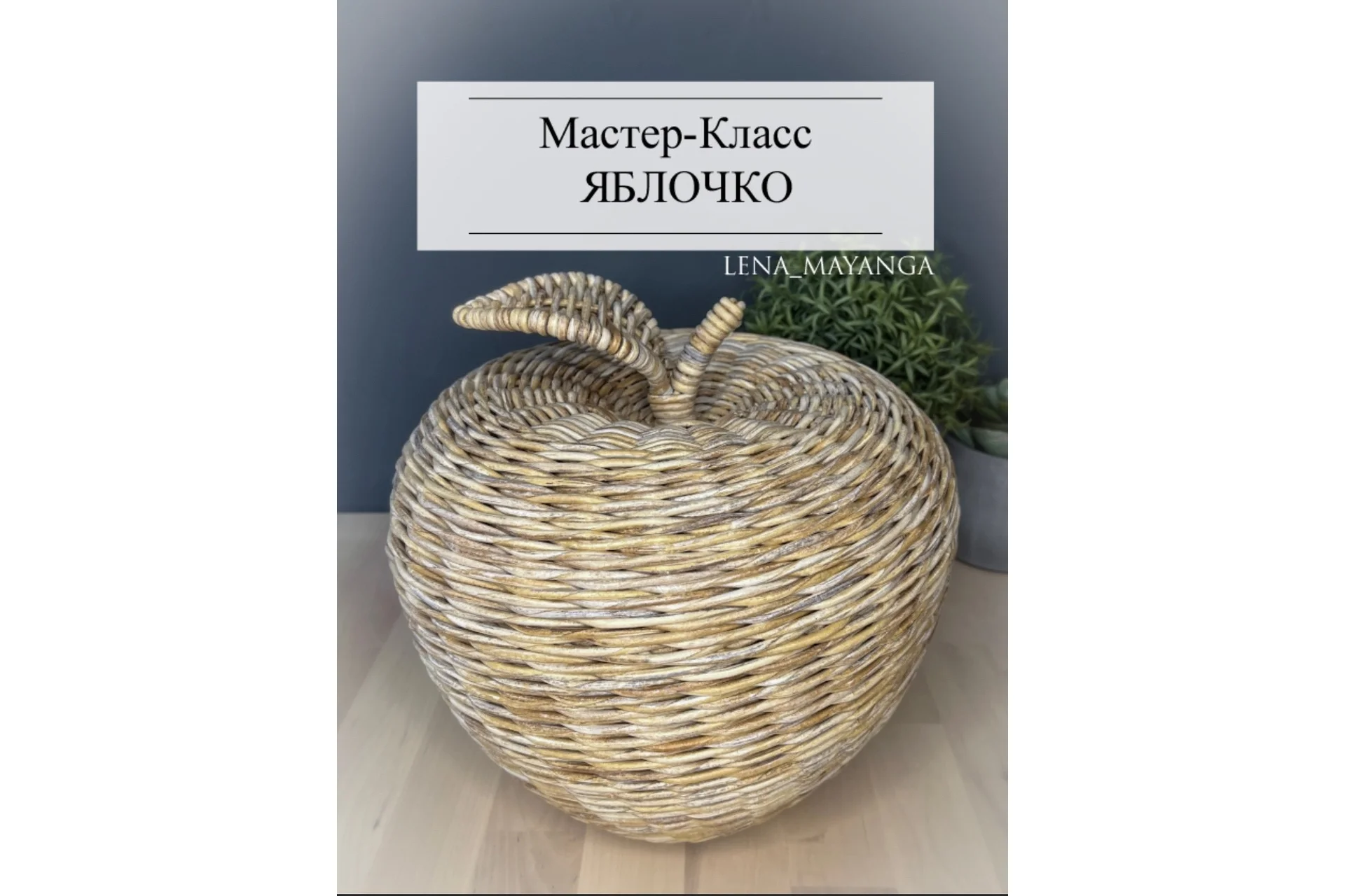 Мастер-класс Яблочко (Елена Гайнанова), фото 1 из 1.