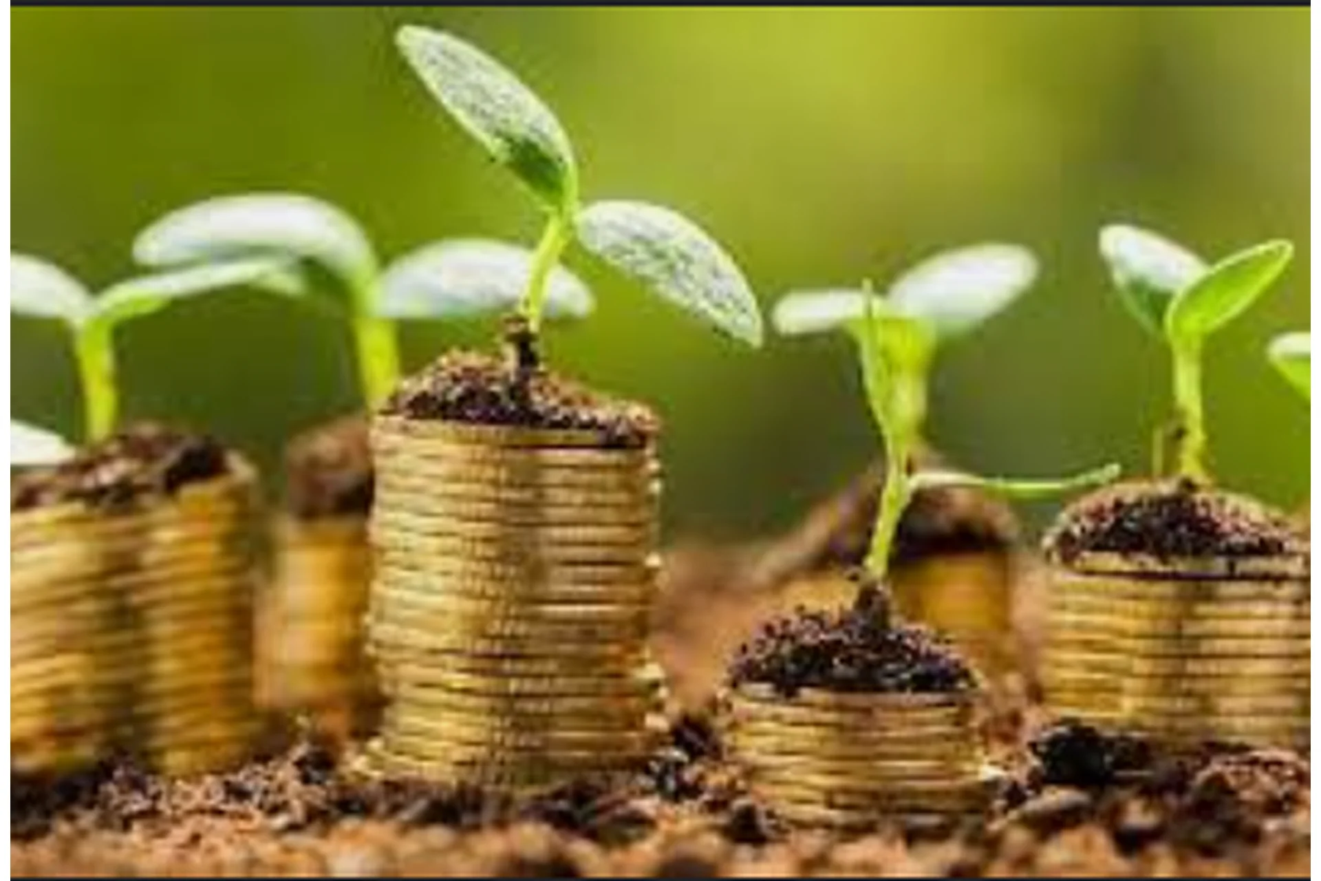 Технологии инвестирования в землю – как сделать состояние на земле и строительстве (Ольга Бюртон), фото 1 из 1.