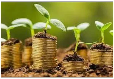 Технологии инвестирования в землю – как сделать состояние на земле и строительстве (Ольга Бюртон)