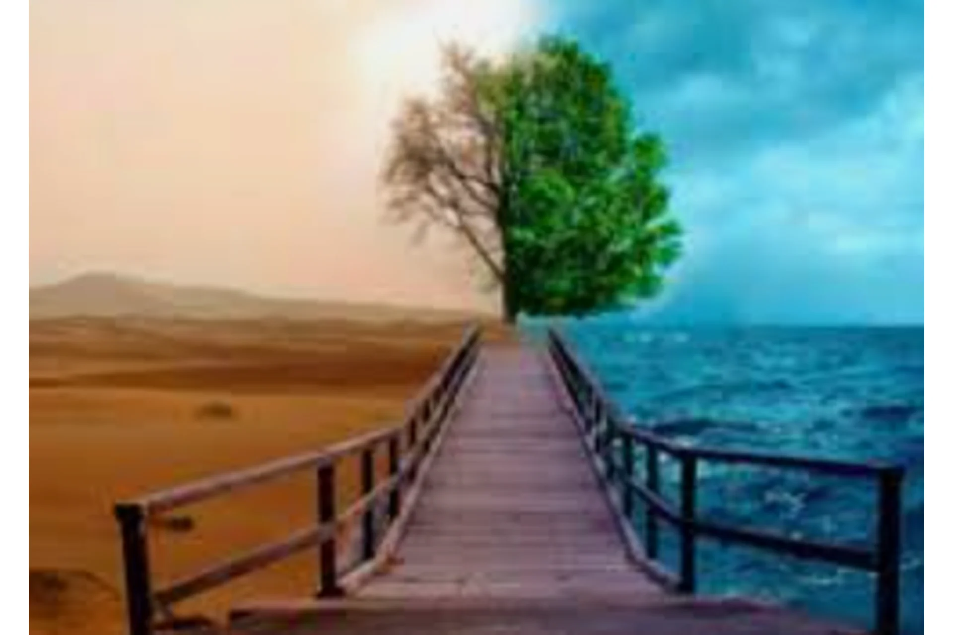 Трансформация жизни 3.0 — Перерождение (Джулия Рай), фото 1 из 1.