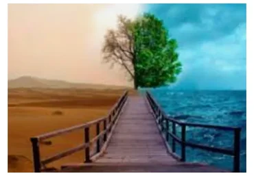 Трансформация жизни 3.0 — Перерождение (Джулия Рай)