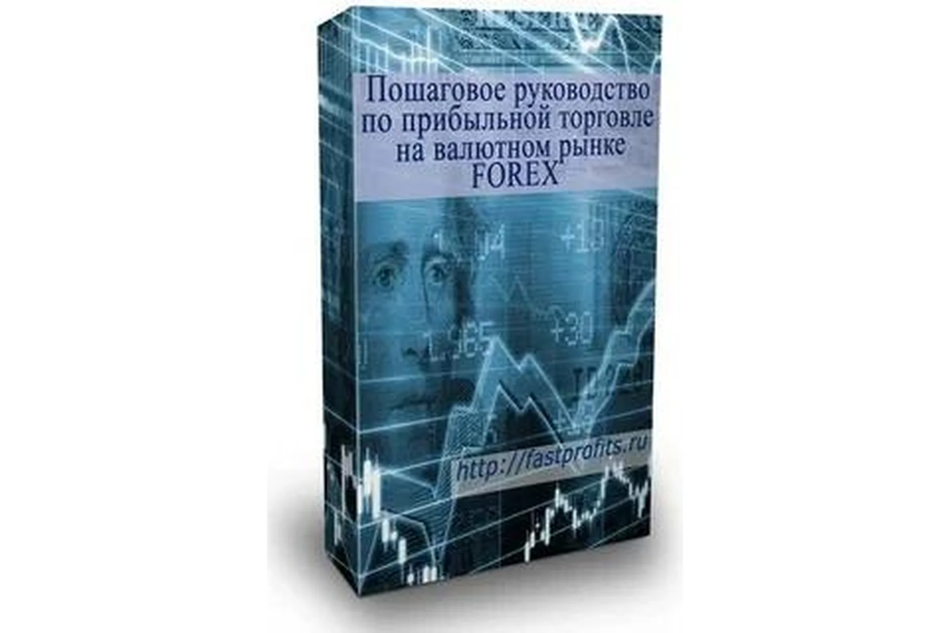 Пошаговое руководство по прибыльной торговле на валютном рынке FOREX, фото 1 из 1.