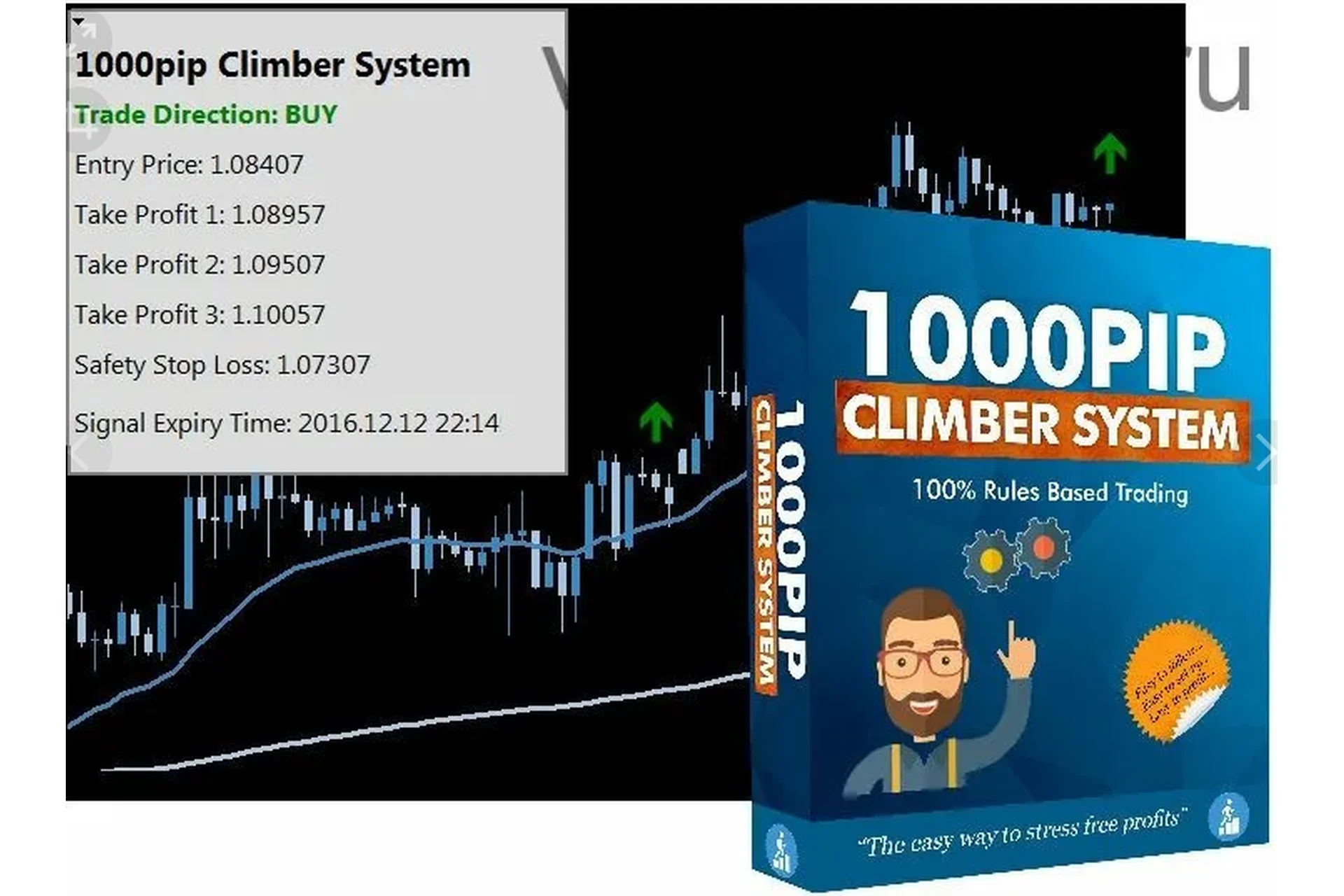 Прибыльная стратегия форекс: 1000pip Climber System, фото 1 из 1.
