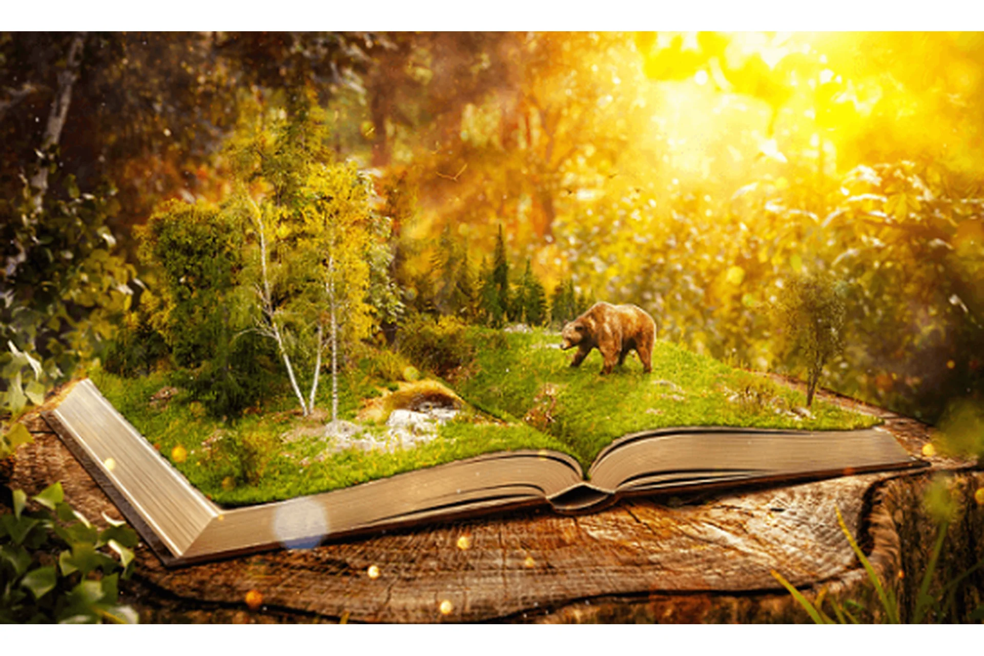 Тайный шифр русских сказок (Арина Никитина), фото 1 из 1.